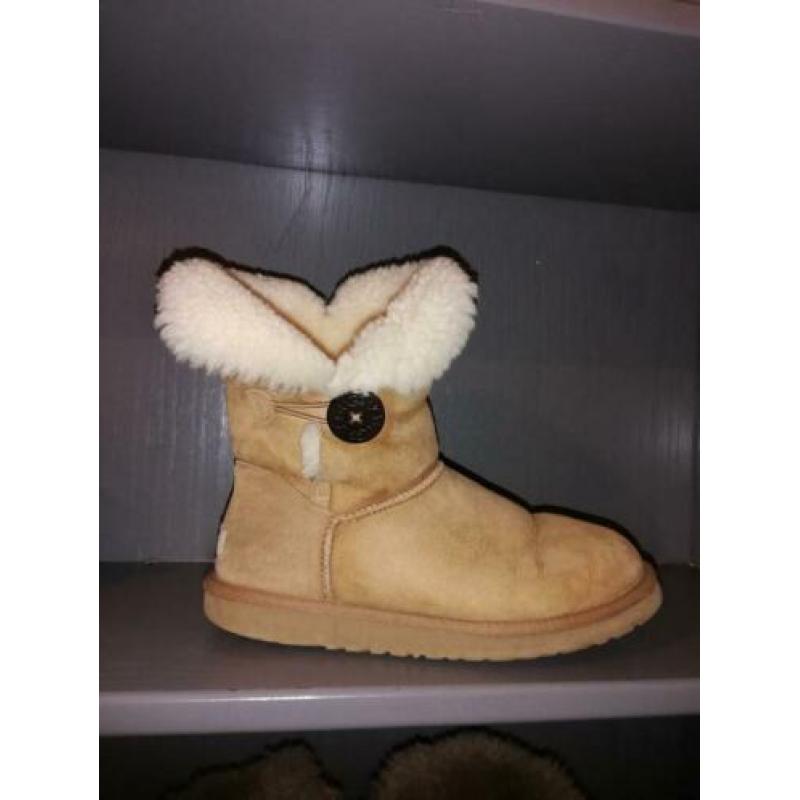 Chestnut uggs