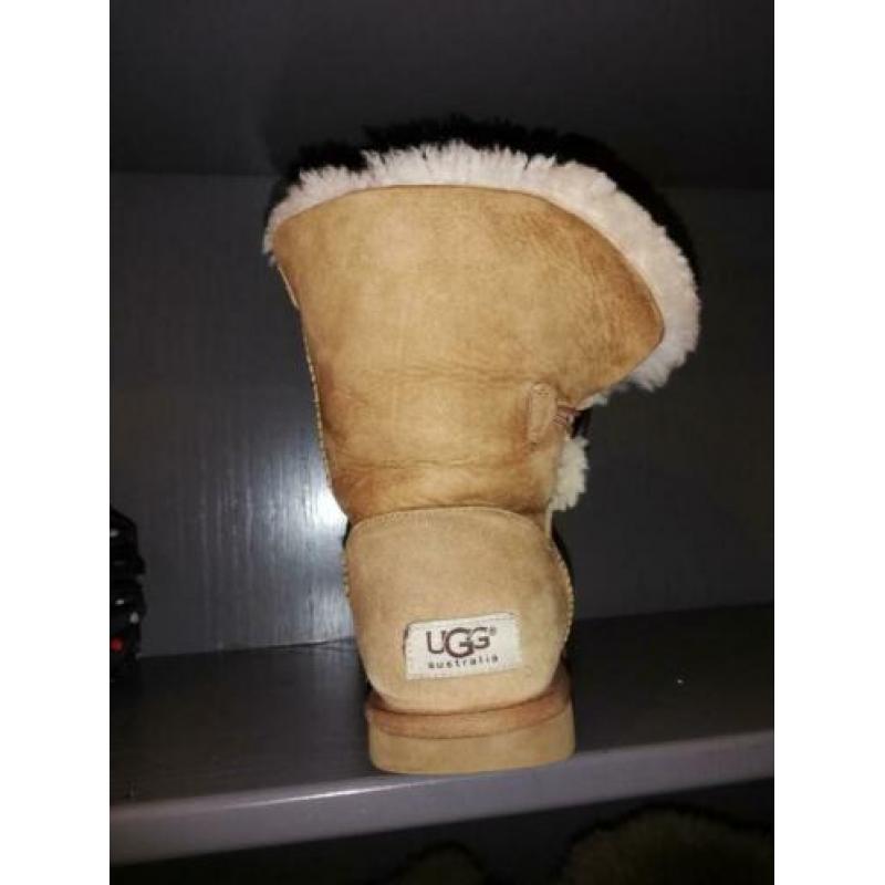 Chestnut uggs