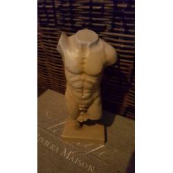 Heren torso mannen