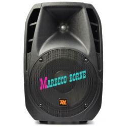 Passieve luidspreker,speaker PDA-10, 10inch, Marbeco 30 jaar