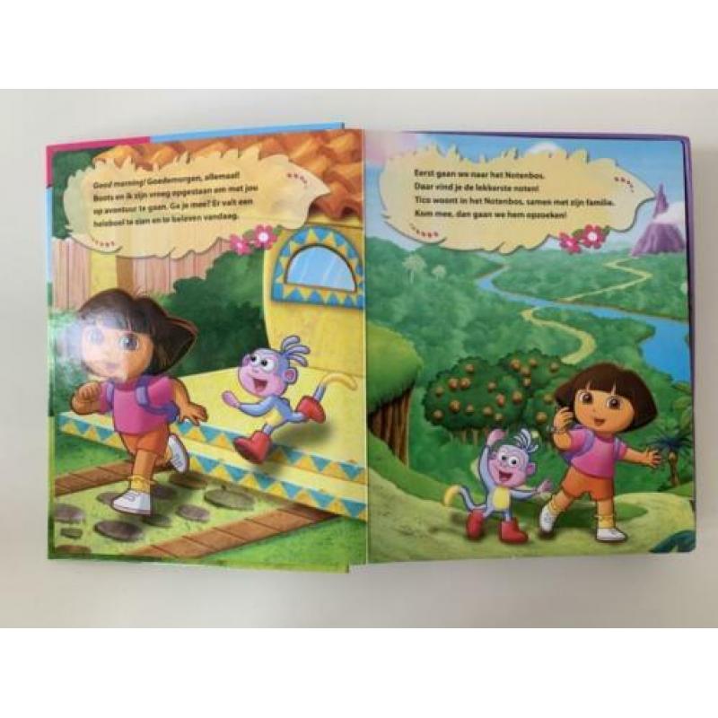 Speelboek / verhalenboek met speelmat en figuren Dora