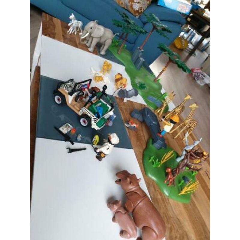 Playmobil 5 setjes in safari thema 4832 6639 4833 4081 4828