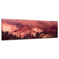 Diverse Canvas Panorama's - slechts EUR 49!