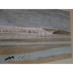 Prachtige Pastel Zee met Vogels - Christa Hoek 43 x 52,5