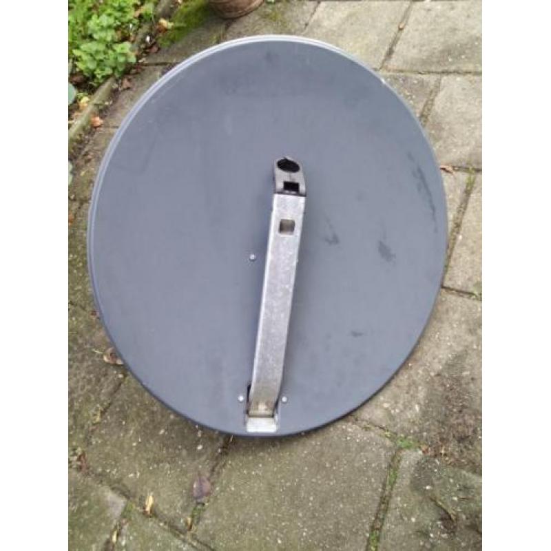 Schotelantenne ovaal +/-65x70