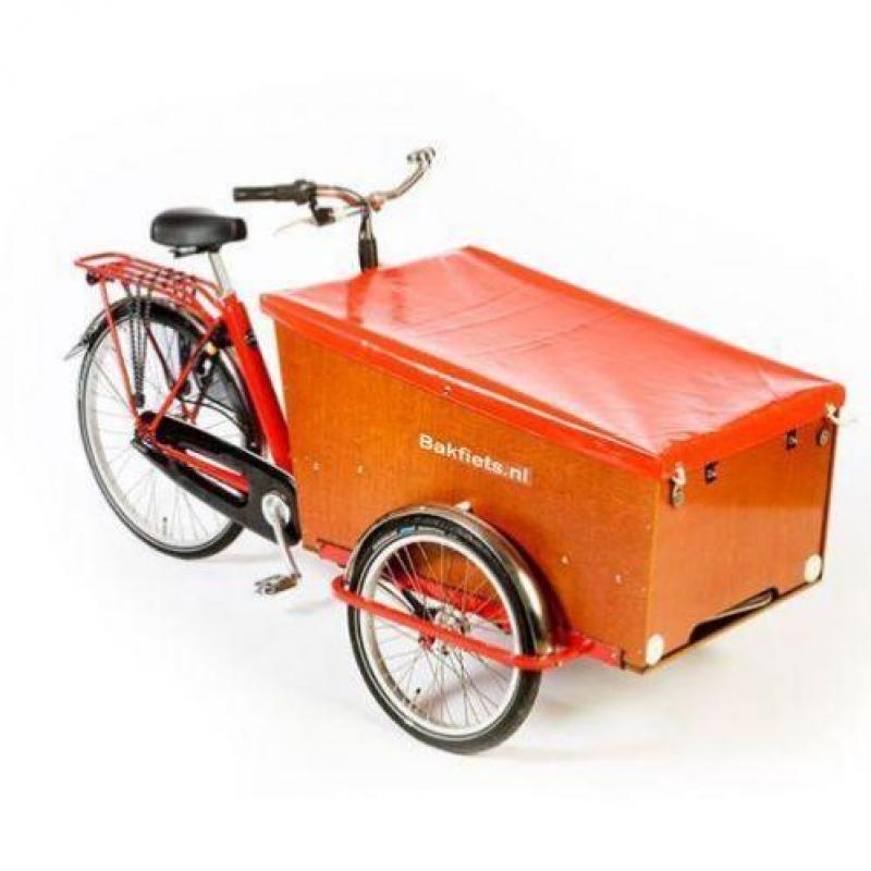 Bakfiets.nl CargoTrike Classic Wide Steps