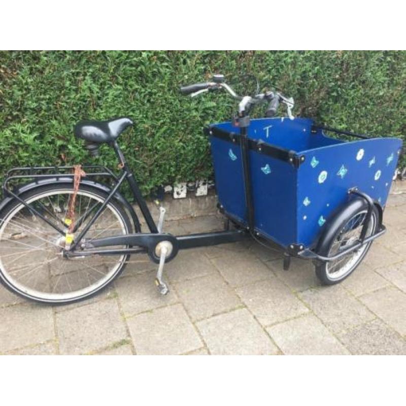 Babboe Big bakfiets